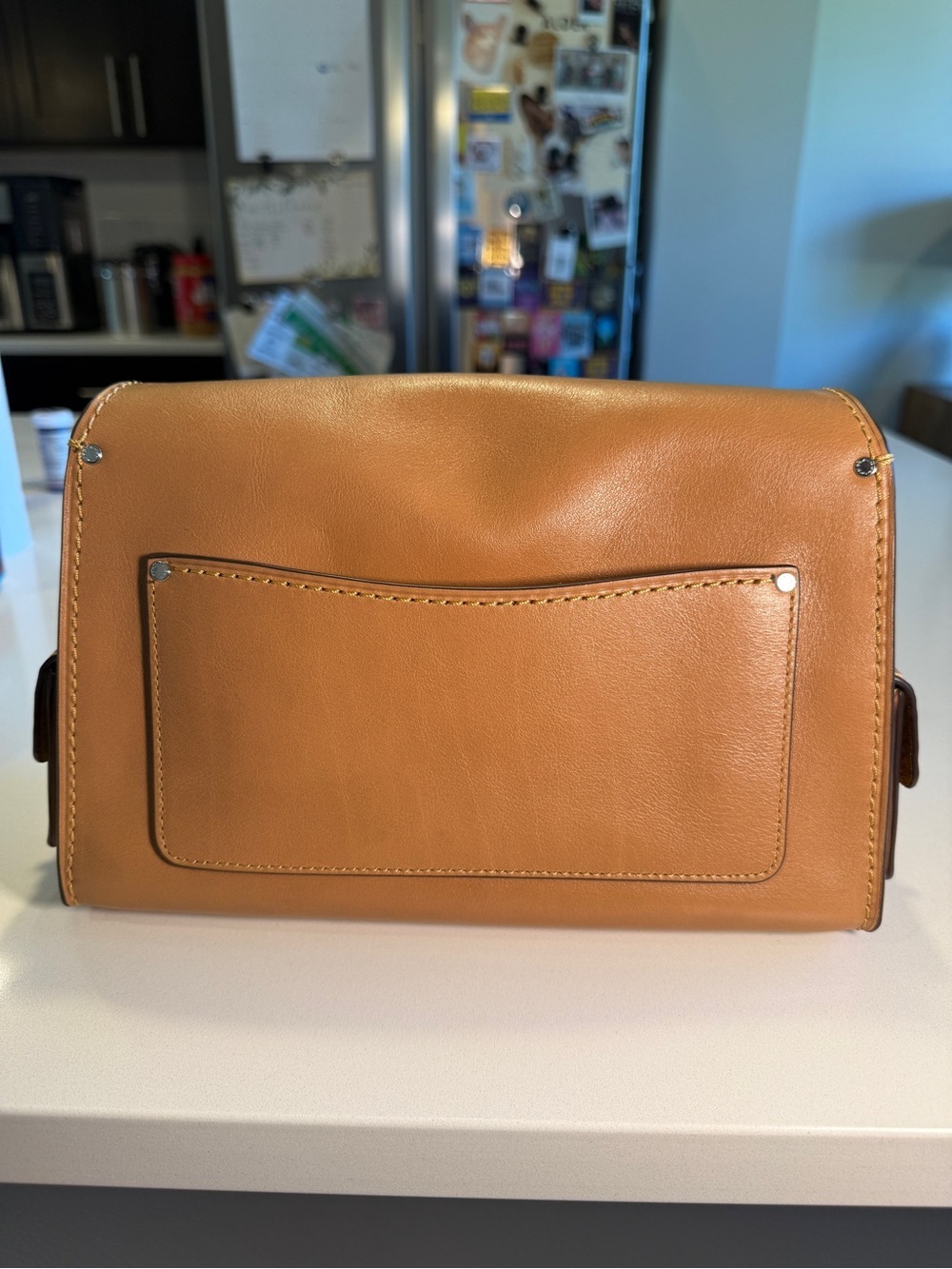 COACH - Cargo Soft Tabby in Light Honey Brown with Silver Hardware - Picture 8 of 14